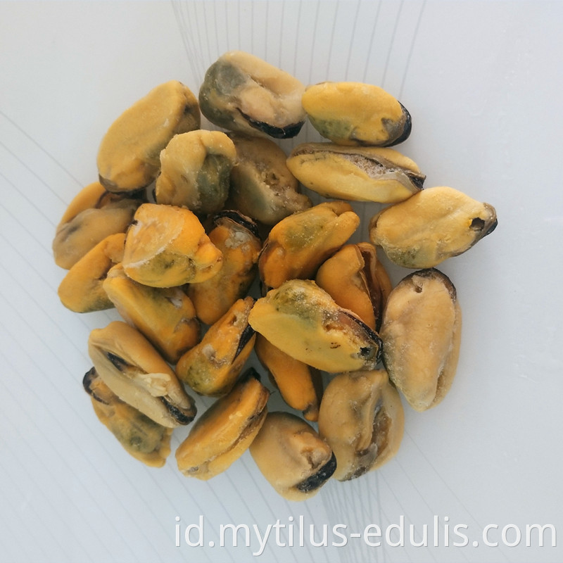 penawaran baru daging kerang rebus beku dengan harga pabrik